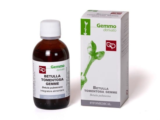 Macerato Glicerico Betulla Pubescens gemme, 50ml