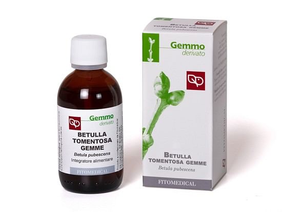 Betulla Pubescens Gemme Macerato Glicerico 50 Ml