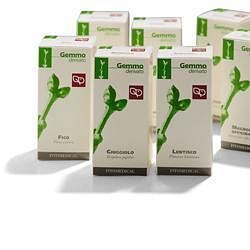 Giuggiolo Macerato Glicerico 50 Ml