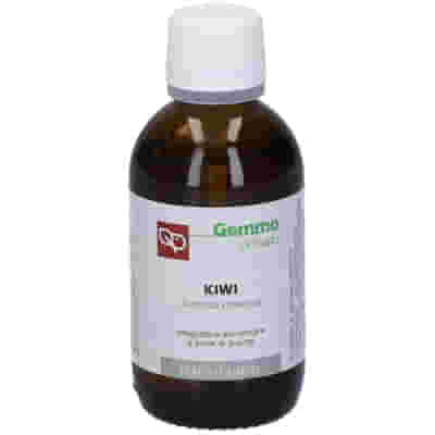 KIWI MACERATO GLICERICO 50 ML