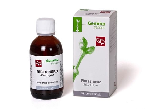 Ribes Nero Macerato Glicerico 50 Ml