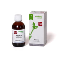 SEGALE MACERATO GLICERICO 50 ML