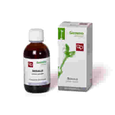 SEGALE MACERATO GLICERICO 50 ML