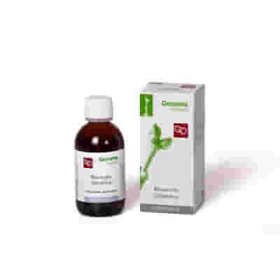 SORBO MACERATO GLICERICO 50 ML