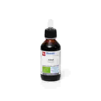 AVENA MACERATO GLICERICO 100 ML