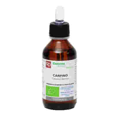 CARPINO MACERATO GLICERICO 100 ML