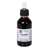 FITOMEDICAL FICO MACERATO GLICERICO 100 ML