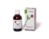 FICO D'INDIA MACERATO GLICERICO 100 ML