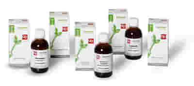 GIUGGIOLO MACERATO GLICERICO 100 ML