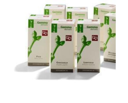 LENTISCO MACERATO GLICERICO 100 ML