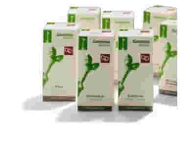 LENTISCO MACERATO GLICERICO 100 ML