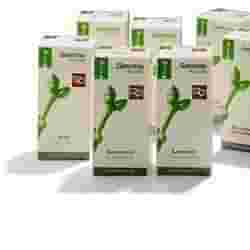 LENTISCO MACERATO GLICERICO 100 ML
