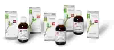 RIBES NERO MACERATO GLICERICO 100 ML