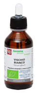 VISCHIO MACERATO GLICERICO 100 ML