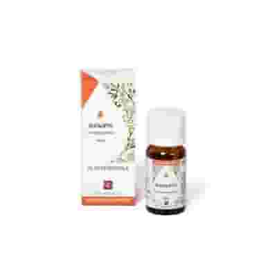 Olio Essenziale di Eucalipto Fitomedical, 10ml
