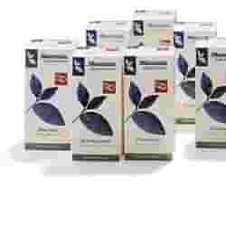 EQUISETO TINTURA MADRE 50 ML