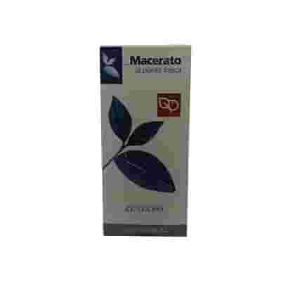 ZENZERO TINTURA MADRE 50 ML