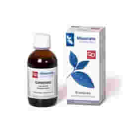 CIPRESSO TINTURA MADRE 100 ML