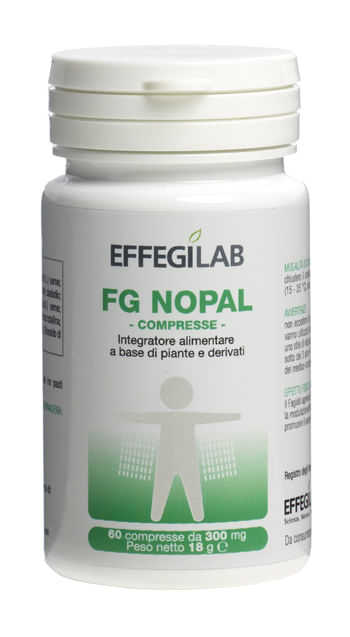 Effegilab 