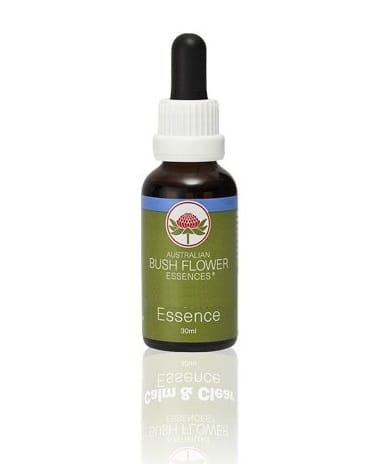 BOAB ESSENZA 15 ML 1 PEZZO