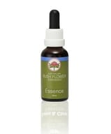 SHE OAK ESSENZA 15 ML 1 PEZZO