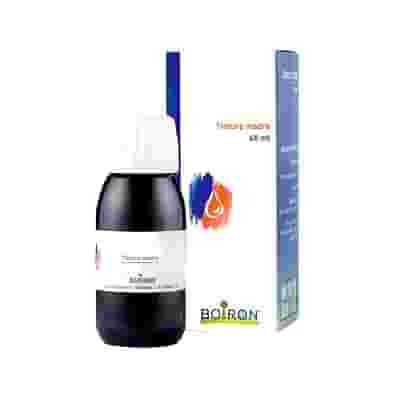 AGNUS CASTUS TINTURA MADRE 60 ML