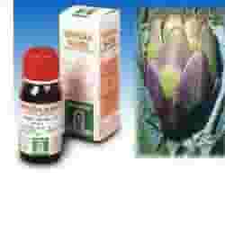 Tintura Madre di Carciofo da foglie, flacone 50ml
