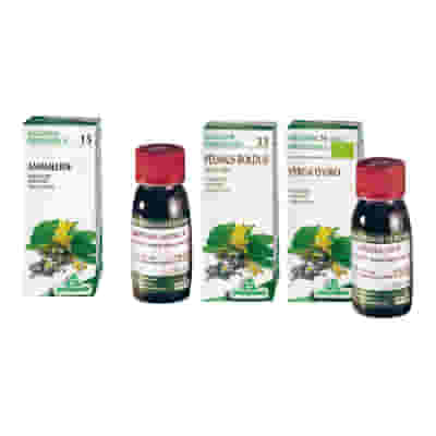Tintura Madre Melissa 17 Specchiasol per il Relax, 50ml