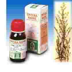 VERGA ORO 26 50ML TM