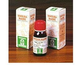 Tintura Madre Damiana Specchiasol, integratore 50ml