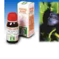 Tintura Madre Mirtillo 31 Specchiasol 50ml microcircolo