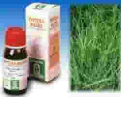 Tintura Madre Gramigna 37 Specchiasol 50ml