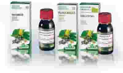 Tintura Madre Centella Asiatica Specchiasol 69, 50ml