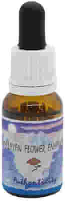 AUTHENTICITY ESSENZA 15 ML 1 PEZZO
