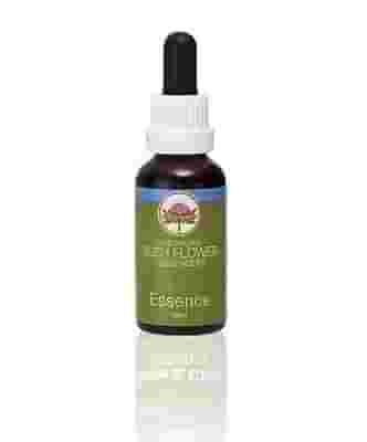 STRENGTH ESSENZA 15 ML 1 PEZZO