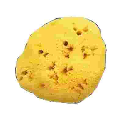 SPUGNA NAT FORI L 8/9 5 CM