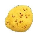 SPUGNA NAT FORI L 10/11 CM 7