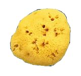 SPUGNA NATURALE FORI L 11/12CM 8