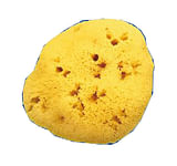 SPUGNA NATURALE FORI L 12/13CM 9