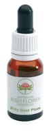 Essenza Floreale Billy Goat Plum Australian Bush, 15ml