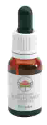 Boronia Gocce Australian Bush Flower Essences 15ml