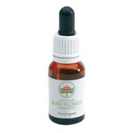 Essenza floreale Isopogon Australian in gocce, 15ml
