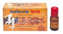 FOSFARSILE FORTE GINSENG 10 FLACONCINI