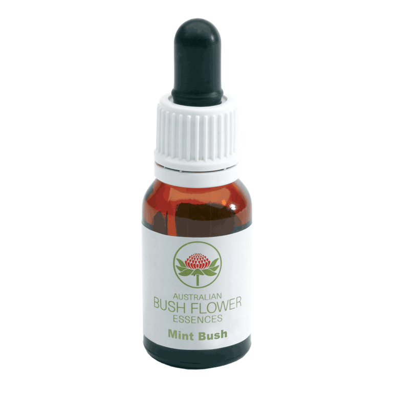 Mint Bush essenza floreale singola in gocce 15ml
