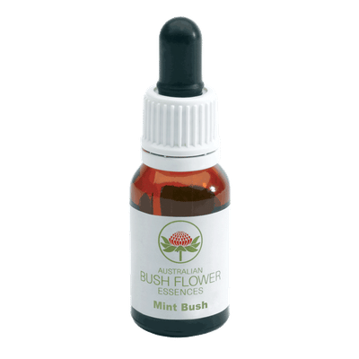 Mint Bush essenza floreale singola in gocce 15ml