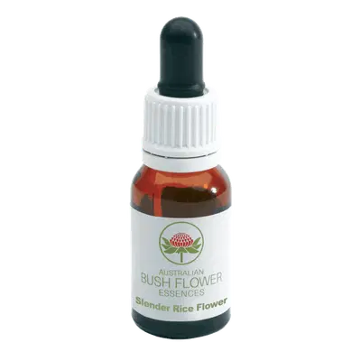 SLENDER RICE AUSTRALIAN 15 ML SLENDER RICE AUSTRALIAN 15 ML