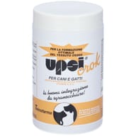 UPSICROK FLACONE 150 G
