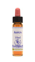 ASPEN ESSENZA 10 ML 1 PEZZO