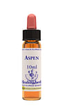 ASPEN ESSENZA 10 ML 1 PEZZO