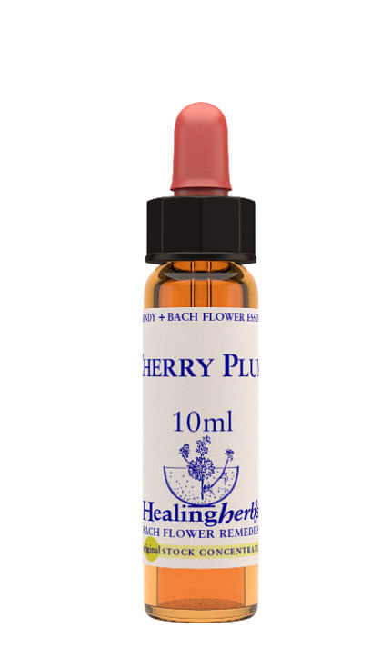 Cherry Plum Essenza 10 Ml 1 Pezzo